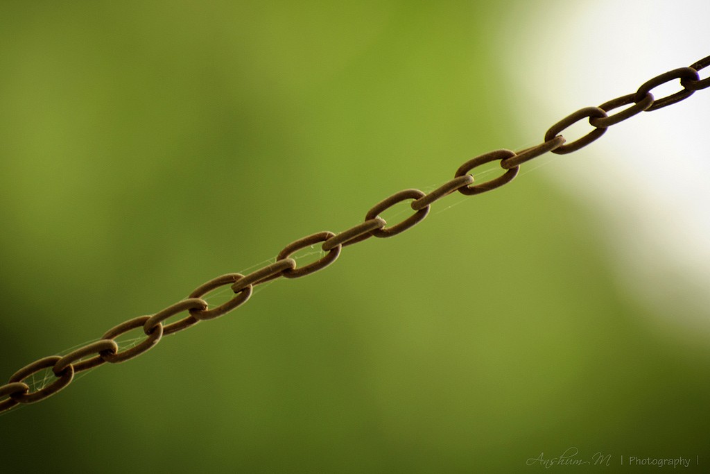 Enlace: una foto de una cadena